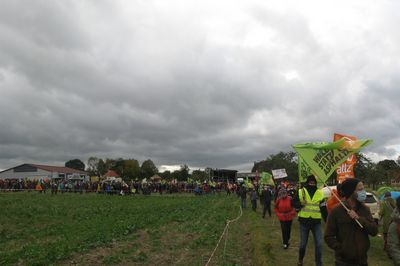 Demonstrant*innen laufen von der Kundgebung in den Dannenröder Forst zum Waldspaziergang
