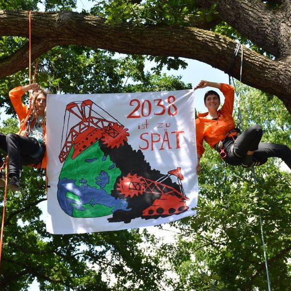 Zwei Noyas aus Hannover seilen sich von einem Baum ab und lassen dabei ein Transpi für den Kohleausstieg vor 2038 herunter
